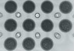 Figure 4. This shows a large number of voids all in the smaller area of the balls. This suggests that all the voids are in the pad-to-void interface. Oblique views confirm this to be correct